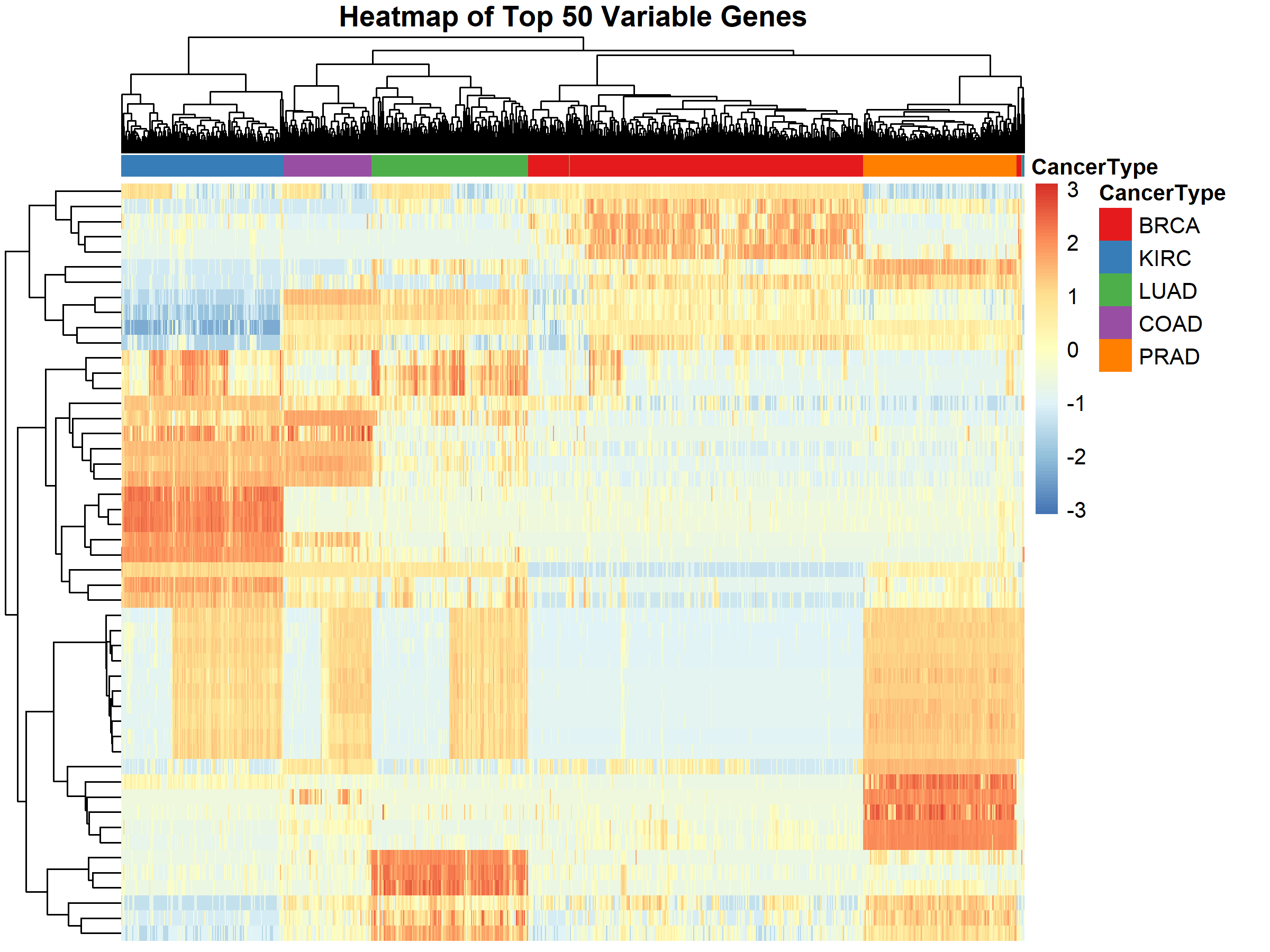 Heatmap Expression