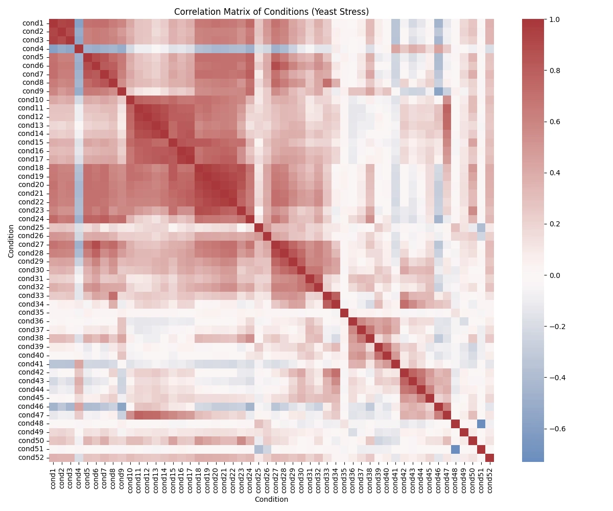 Yeast Stress Analysis